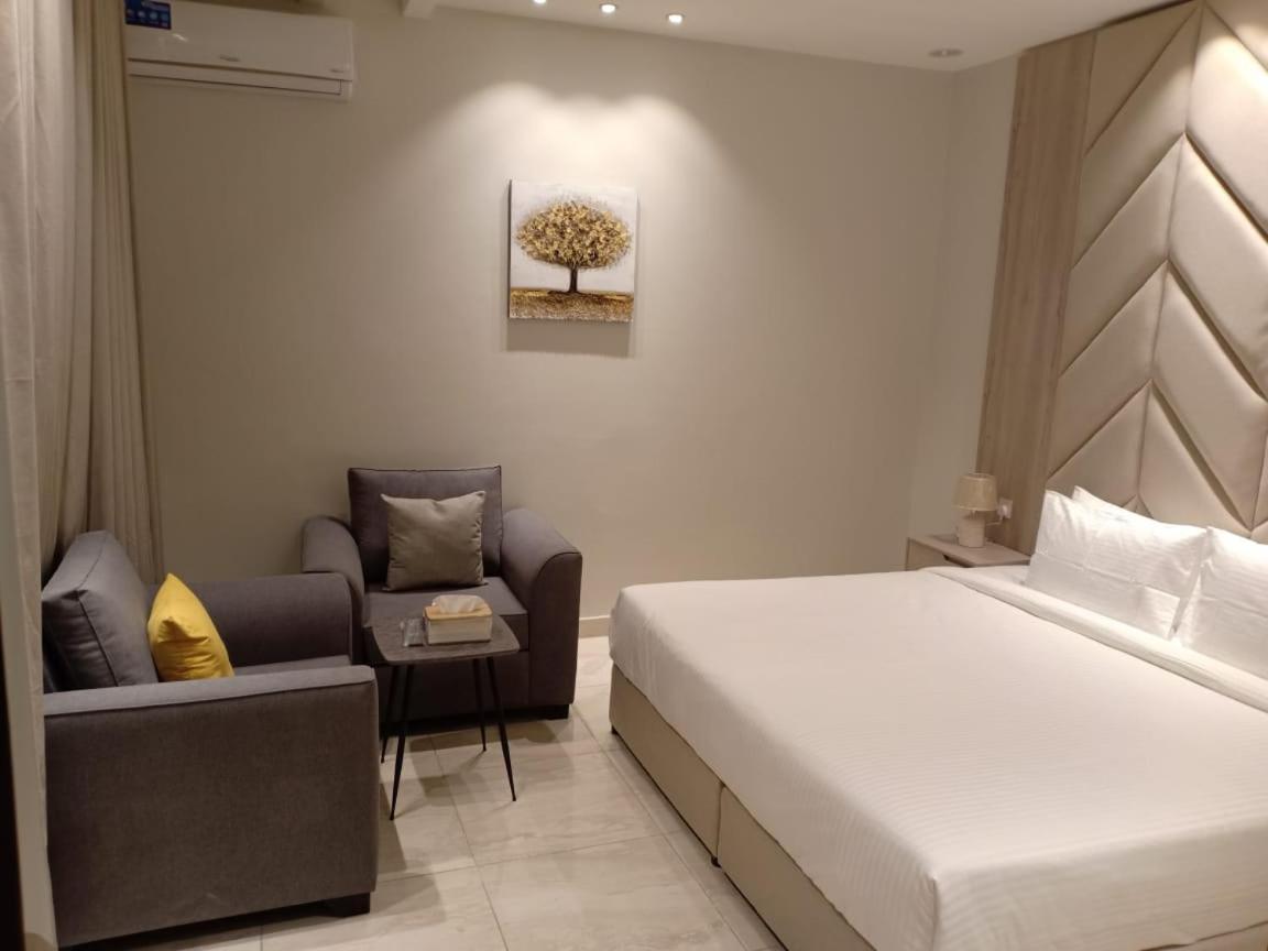 Dorm Story For Apartment